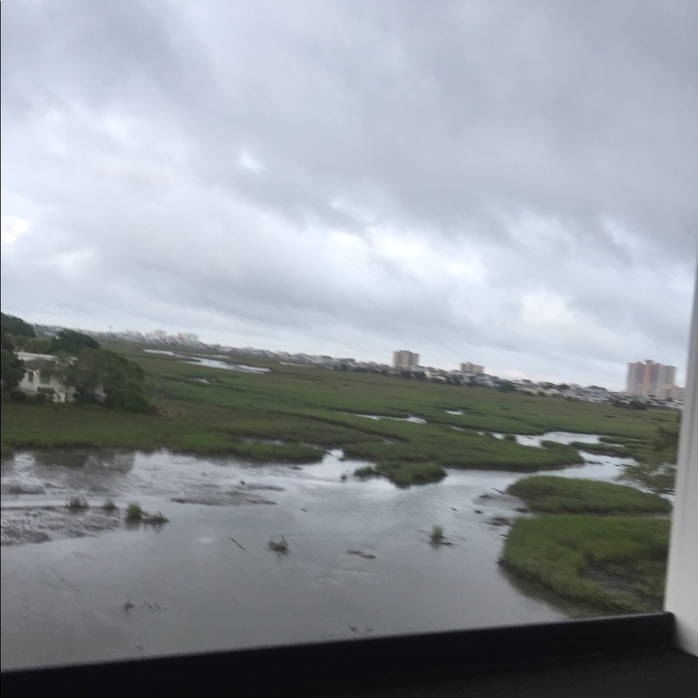 Meet your Posher, Sue